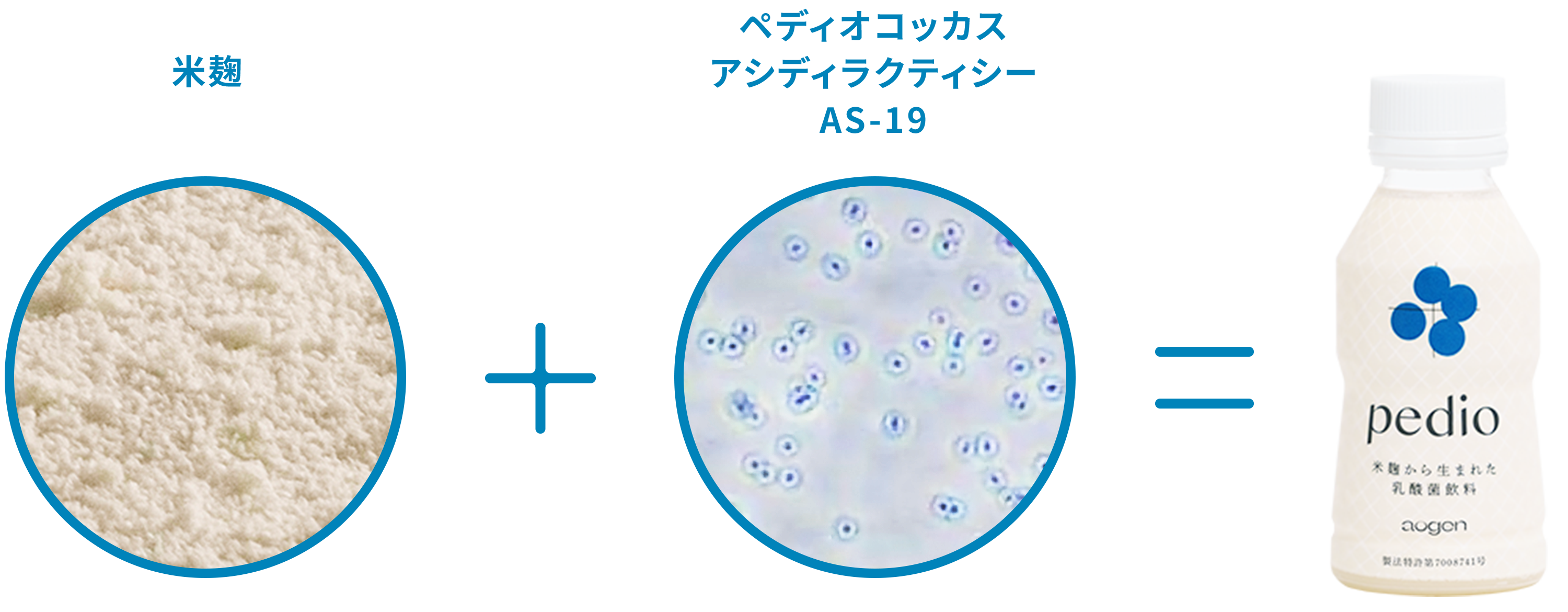 ペディレタンリーフレット