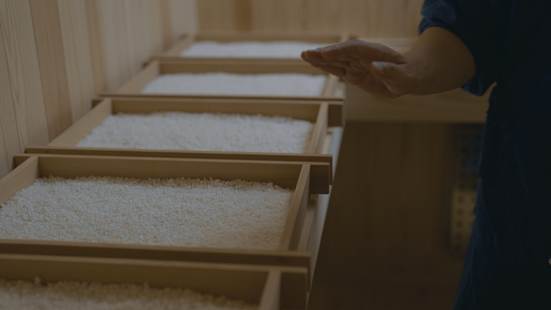 新品未使用★家庭用 麹を作る杉の麹箱 新品未使用☆家庭用 麹を作る杉の麹箱 森の麹箱 送料込み | morinokoji