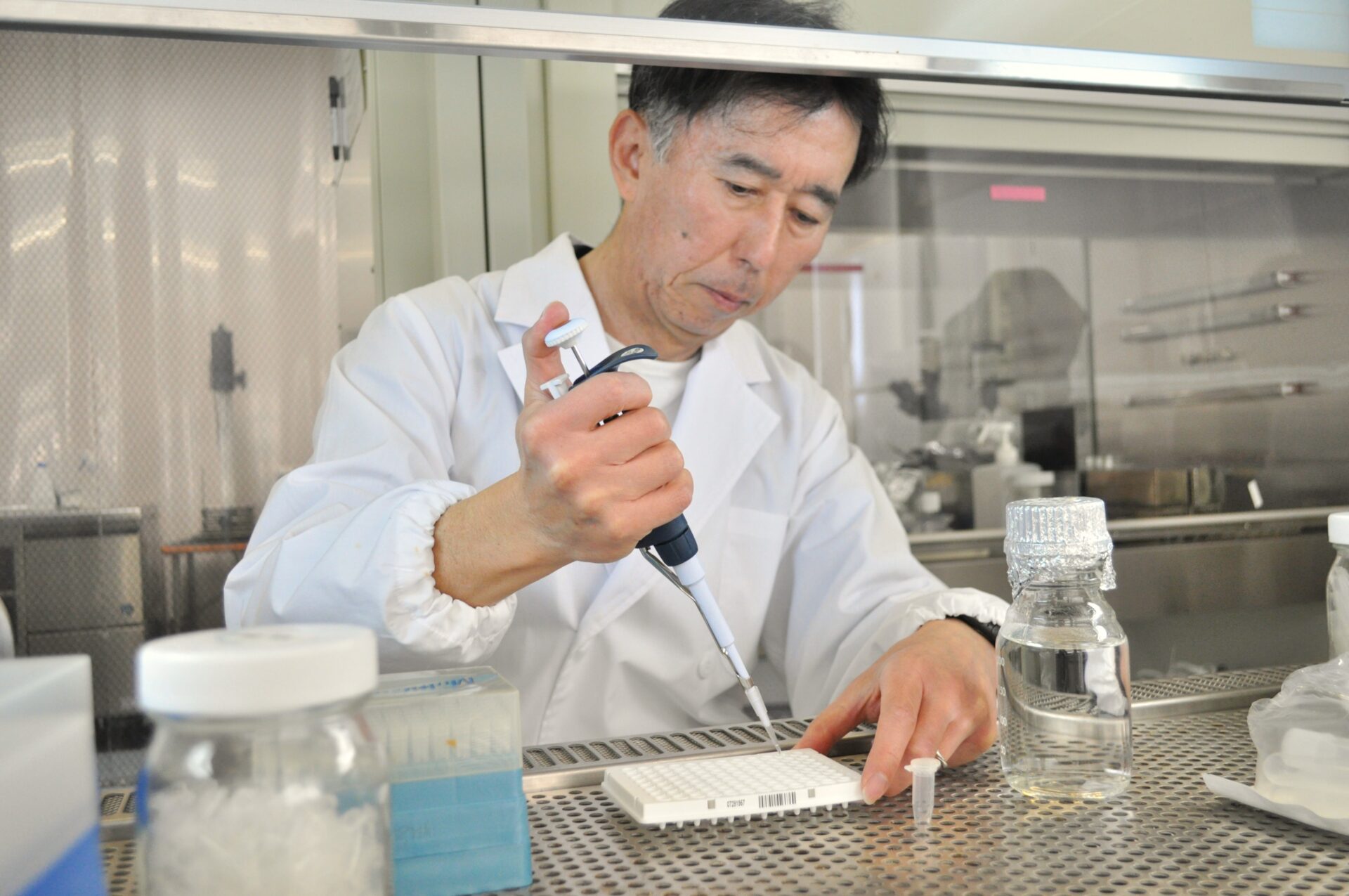★「11-1 乳酸菌」(30包)★ 自然治癒力＆感染症予防★箱のまま発送致します ペディオ3周年特別企画｜前田教授に聞く】 乳酸菌ってなあに？ペディオ
